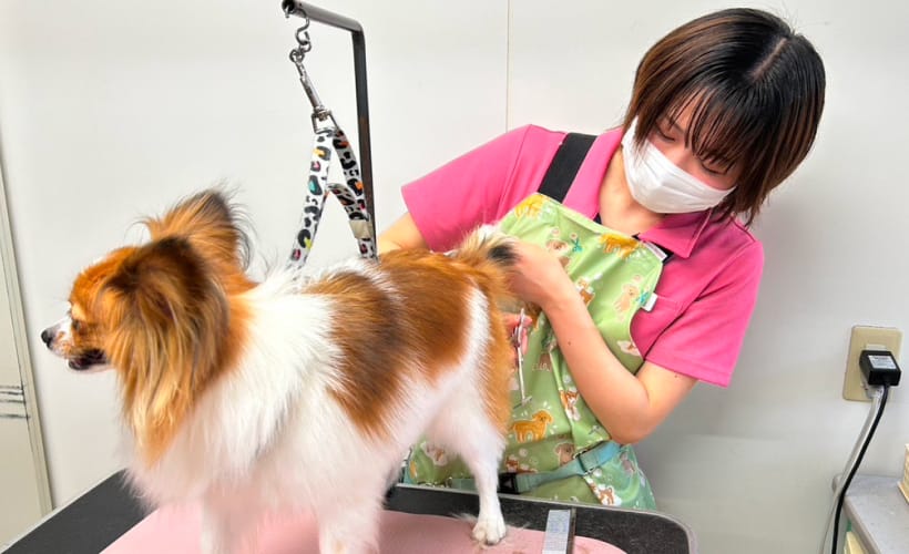 担当医制による総合的な学び