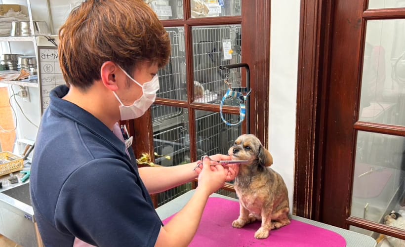 チーム全体での症例検討・ミーティング