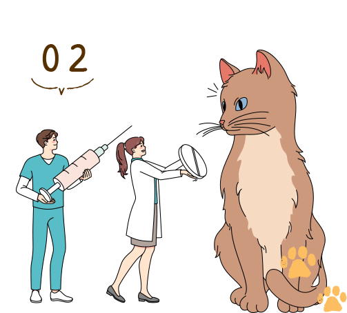 Mental care