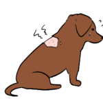 皮膚病で背中側が禿げてしまった悲しそうな犬のイラスト