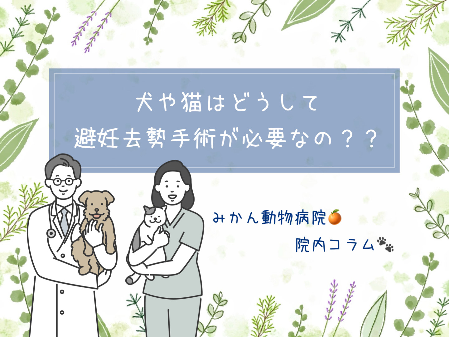 犬や猫はどうして避妊去勢手術が必要なの?みかん動物病院院内コラム(動物を抱っこした獣医師と看護師のイラスト)
