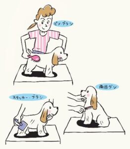 3種のブラシのイラスト_スリッカー・ピン・両目グシ