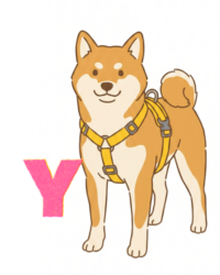 正面で首肩にひもがY状に交差するY字ハーネス