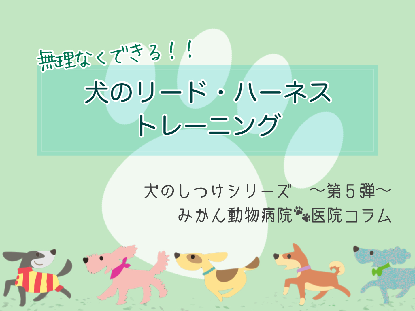 みかん動物病院コラムTOP_無理なくできる！リード・ハーネストレーニング