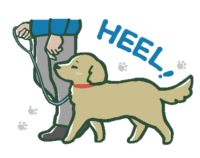 「HEEL」トレーニング中の犬のイラスト