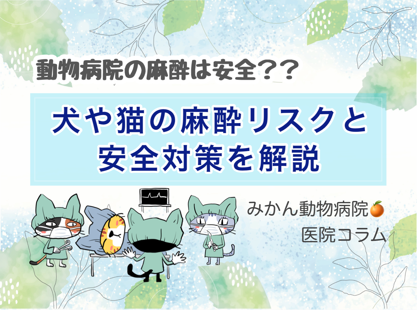 みかん動物病院コラムTOP「犬や猫の麻酔リスクと安全対策を解説」