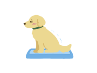 犬のトイレトレーニングのイラスト