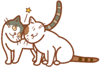 日常的な接触では感染しない（じゃれ合う猫のイラスト）