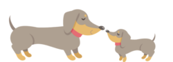 お互いのニオイを嗅いでいる2頭の犬のイラスト
