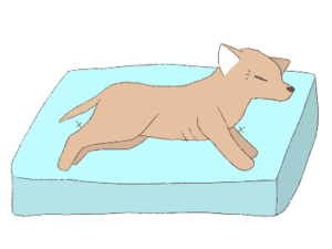 ベッドマットに横たわる犬のイラストイメージ