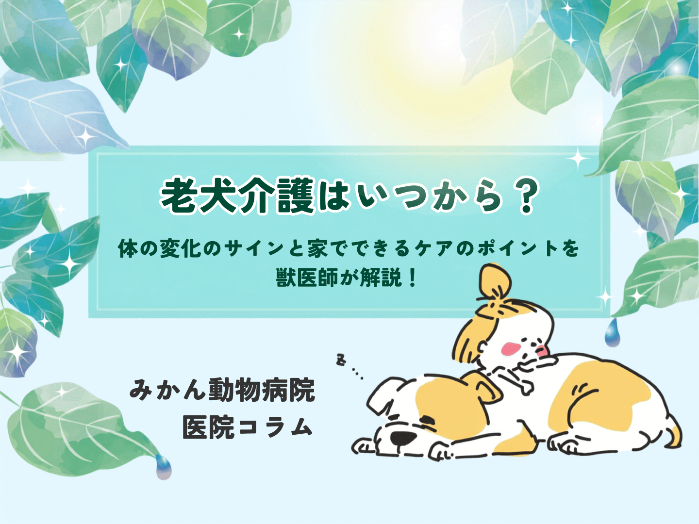 みかん動物病院医院コラム「老犬介護はいつから?体の変化のサインと家でできるケアのポイントを獣医師が解説」TOP