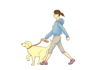 女性と犬の散歩風景イメージ