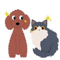 健康的な目で目が輝いている犬と猫