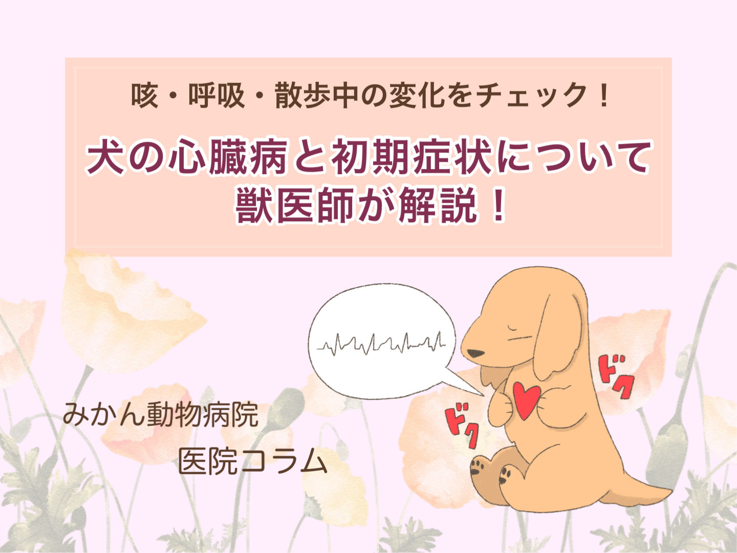 みかん動物病院医院コラム「咳・呼吸・散歩中の変化をチェック！犬の心臓病と初期症状について獣医師が解説」TOP