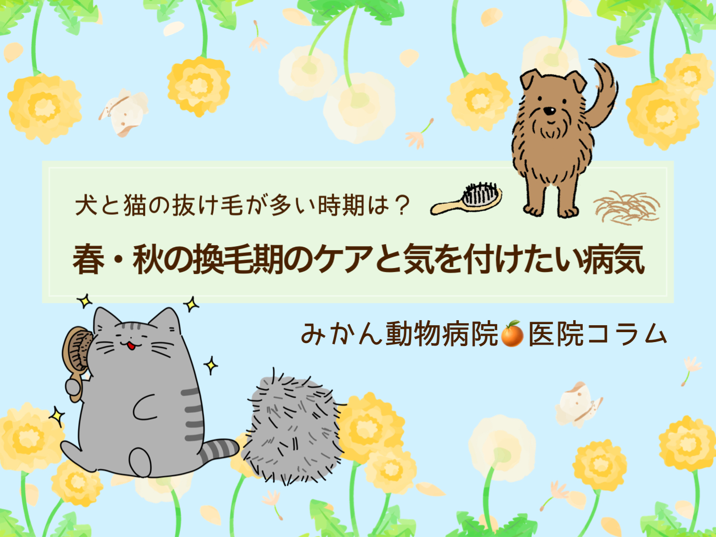 みかん動物病院医院コラム「犬と猫の抜け毛が多い時期は？春・秋の換毛期のケアと気を付けたい病気」TOP