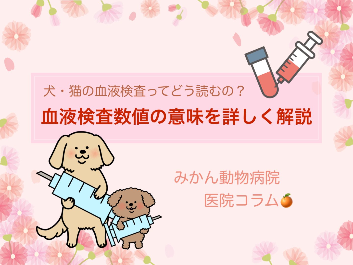 みかん動物病院医院コラム「犬・猫の血液検査ってどう読むの？｜数値の意味を詳しく解説」TOP