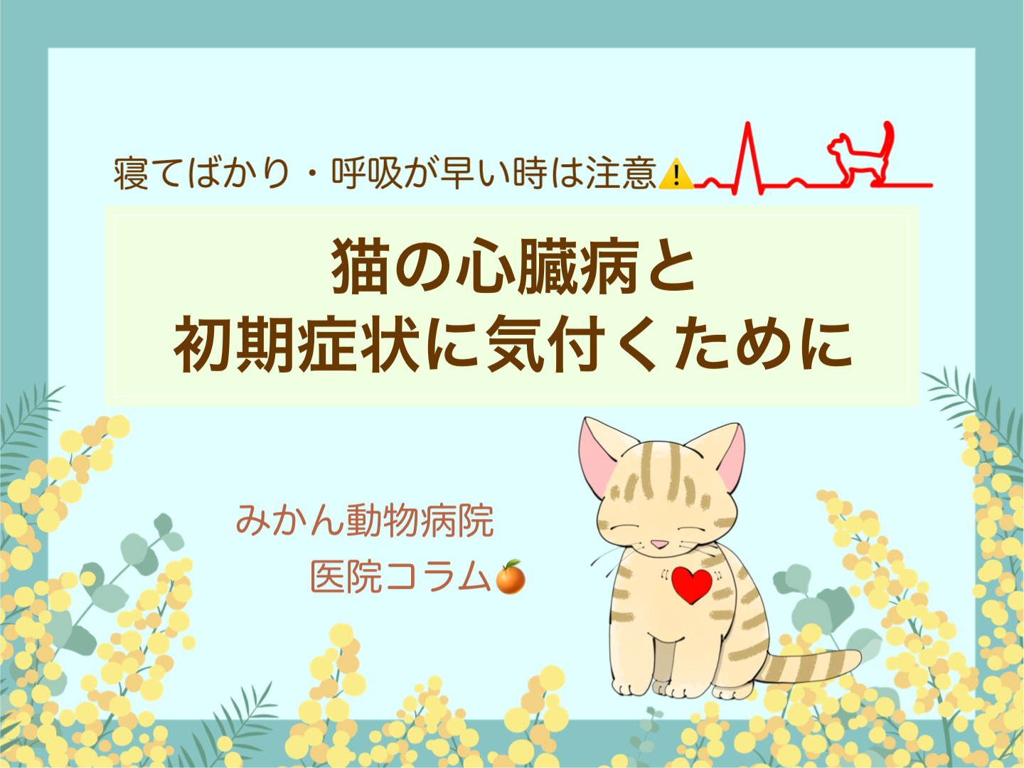 みかん動物病院医院コラム「寝てばかり・呼吸が早い時は注意！猫の心臓病と初期症状に気付くために」TOP